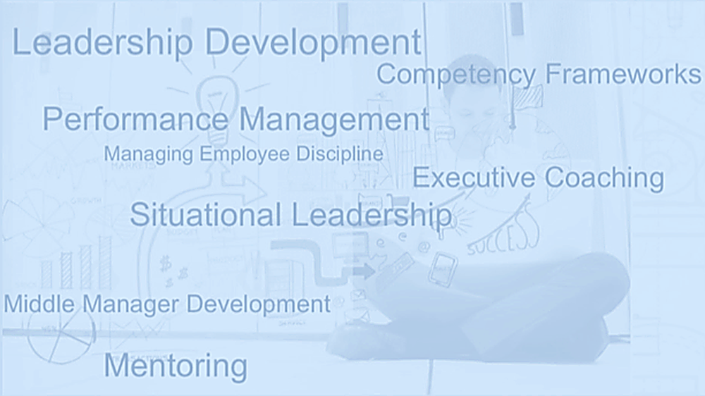 Building Capability overview: Leadership Development, Competency Frameworks, Performance Management, Managing Employee Discipline, Executive Coaching, Situational Leadership, Middle Manager Development, Mentoring