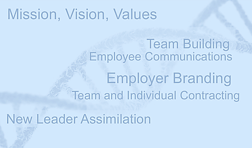 Corporate Culture overview: Mission, Vision, Values, Team Building, Employee Communications, Employer Branding, Team and Individual Contracting, New Leader Assimilation