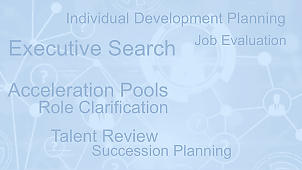 Talent Acquisition and Management overview: Individual Development Planning, Job Evaluation, Executive Search, Acceleration Pools, Role Clarification, Talent Review, Succession Planning